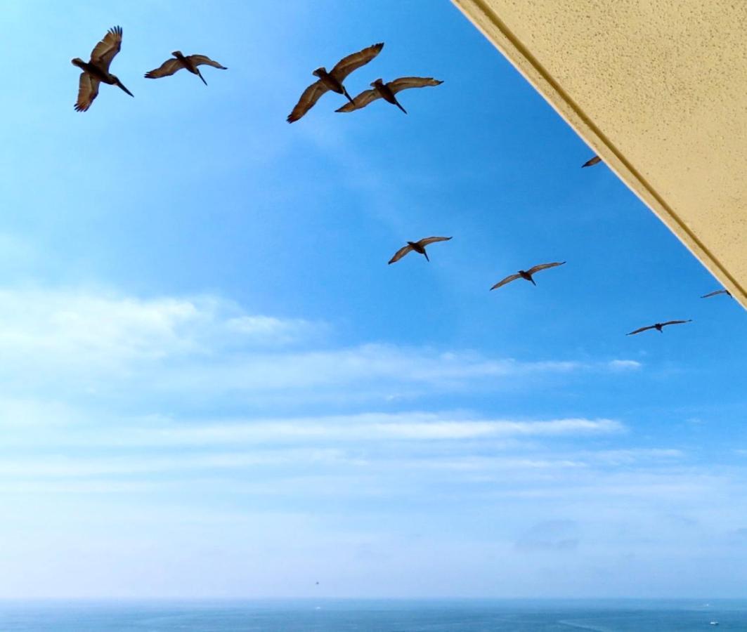 Just Updated - Beachfront Ocean View, 19Th Floor Destin Dış mekan fotoğraf